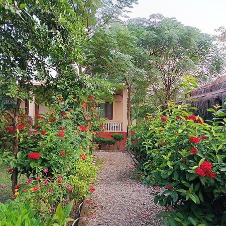 Crocodile Safari Camp Otel Chitwan Dış mekan fotoğraf
