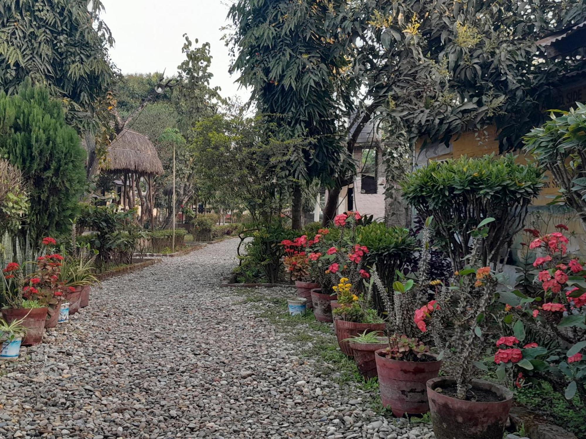 Crocodile Safari Camp Otel Chitwan Dış mekan fotoğraf