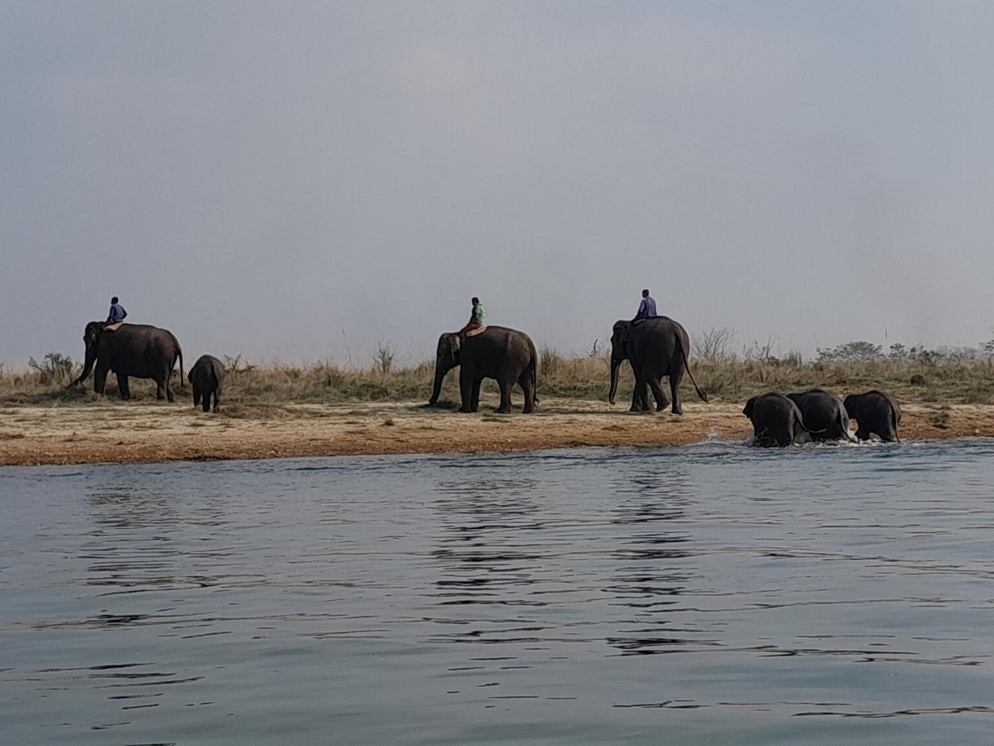 Crocodile Safari Camp Otel Chitwan Dış mekan fotoğraf