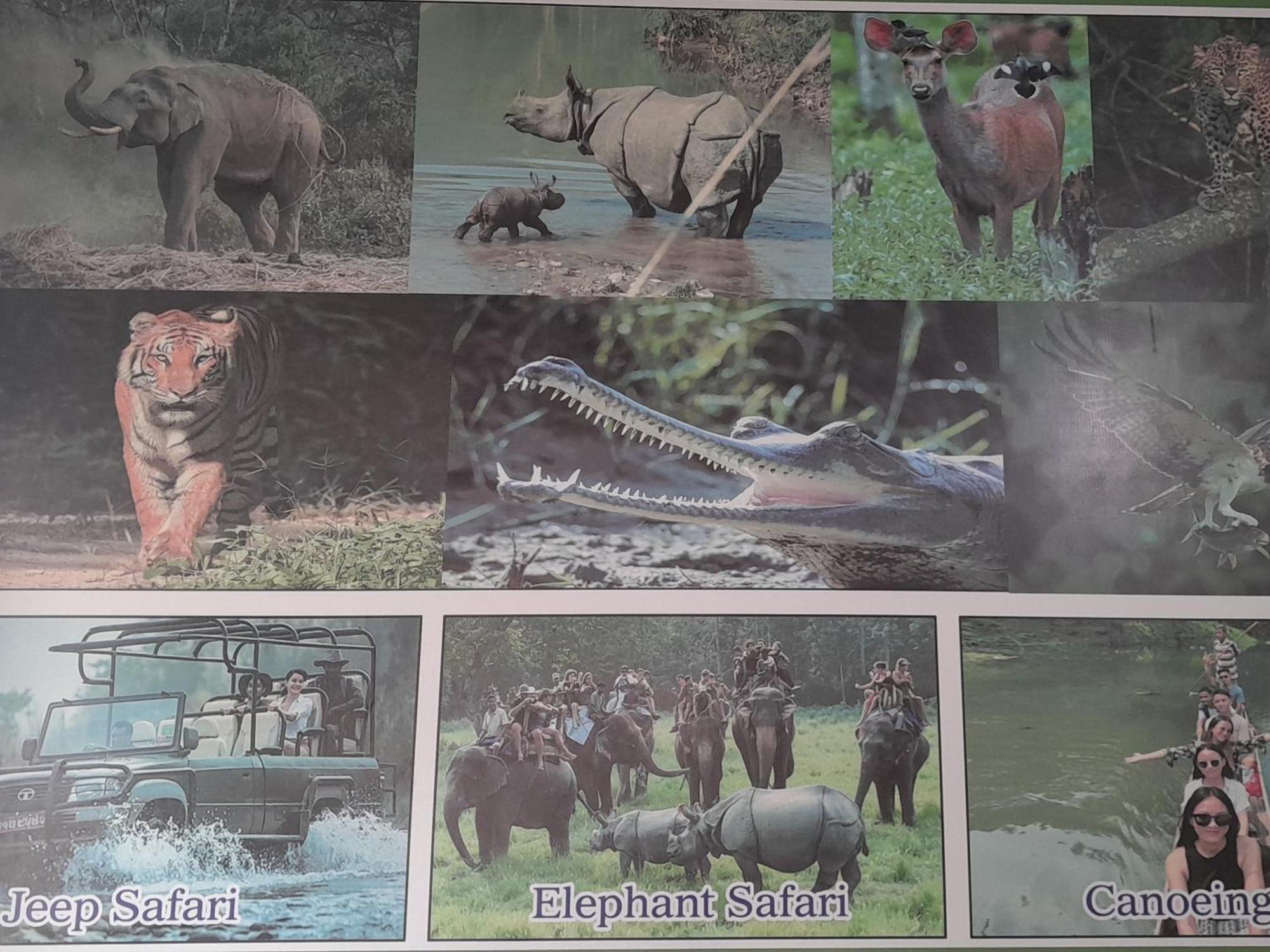 Crocodile Safari Camp Otel Chitwan Dış mekan fotoğraf