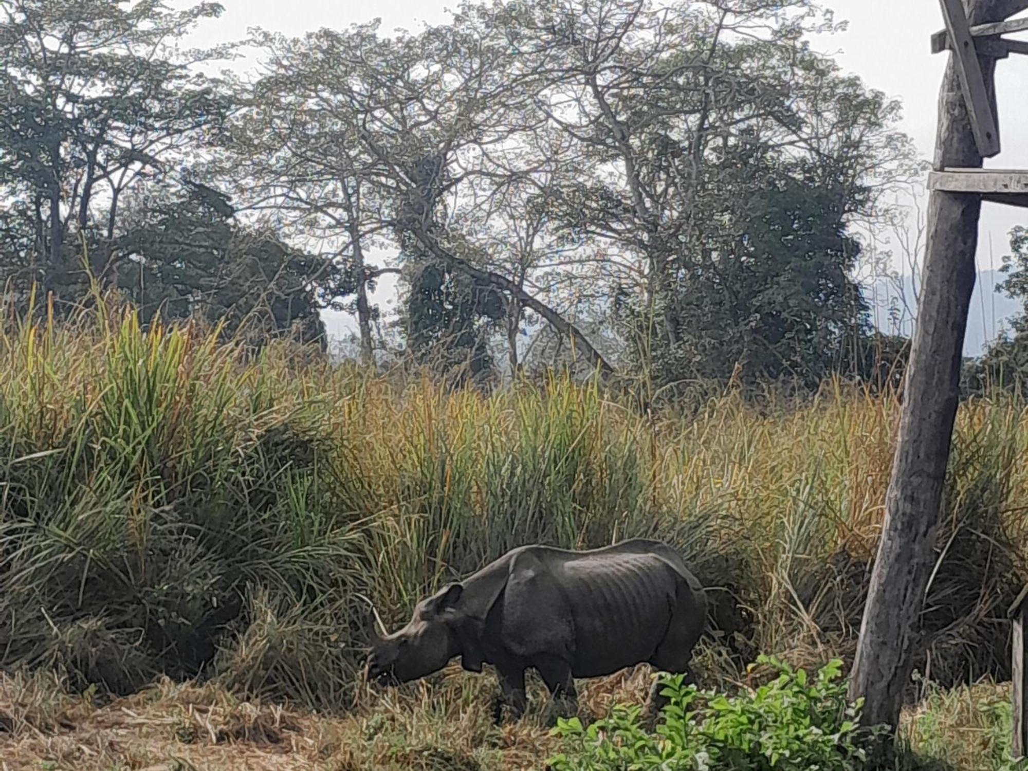 Crocodile Safari Camp Otel Chitwan Dış mekan fotoğraf