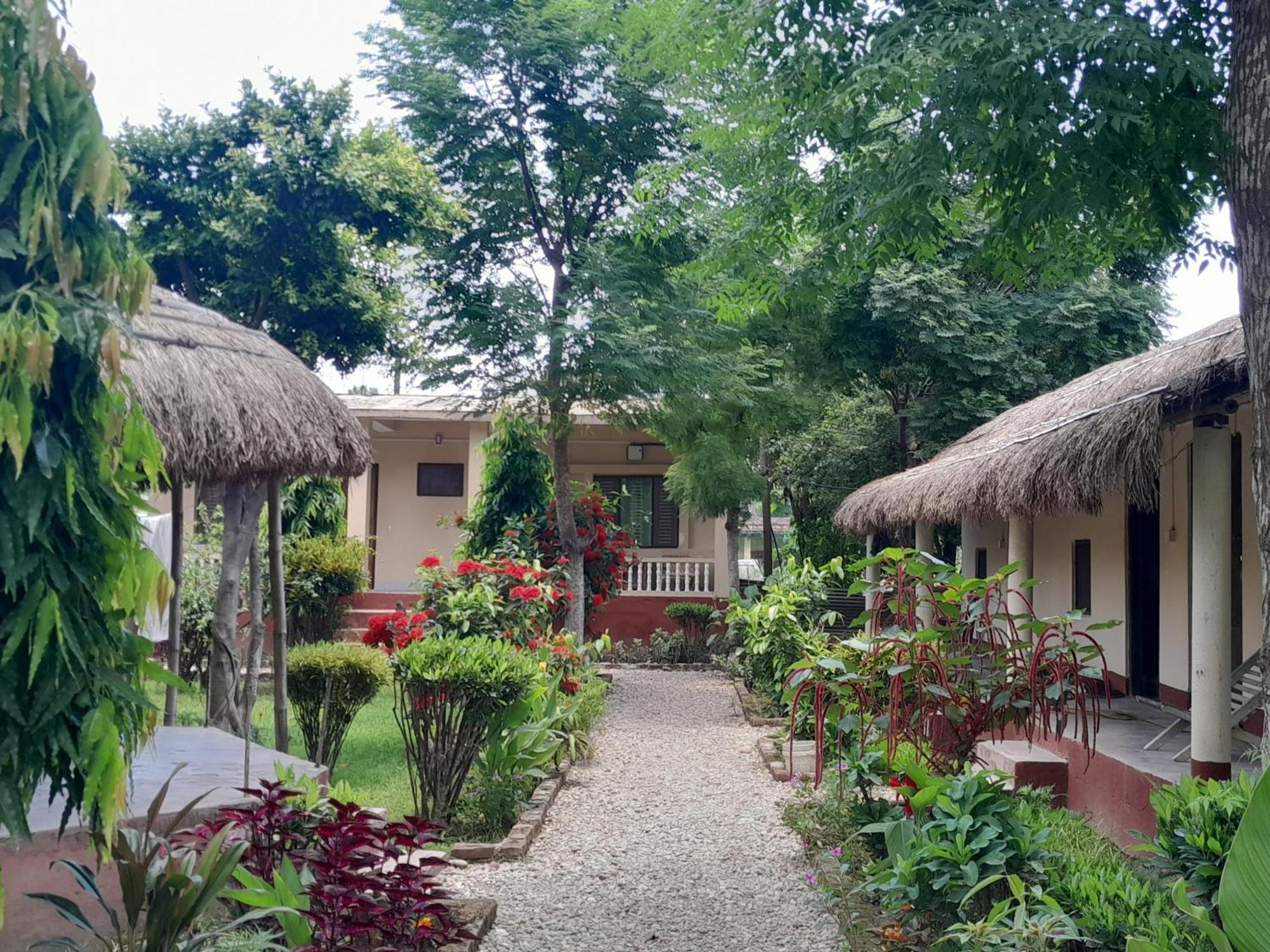 Crocodile Safari Camp Otel Chitwan Dış mekan fotoğraf