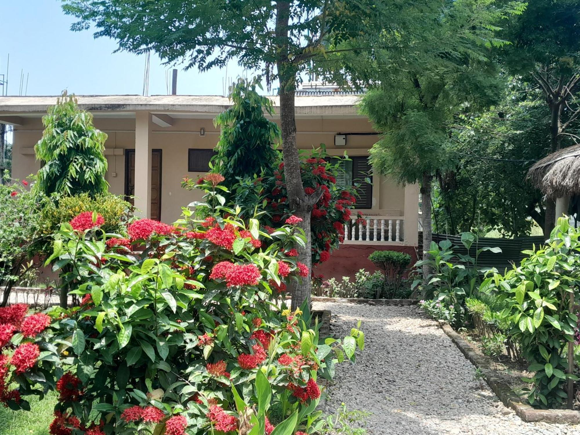 Crocodile Safari Camp Otel Chitwan Dış mekan fotoğraf