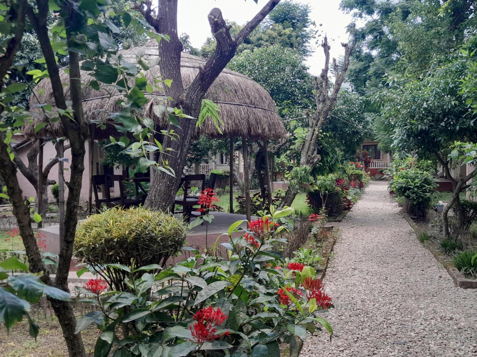 Crocodile Safari Camp Otel Chitwan Dış mekan fotoğraf