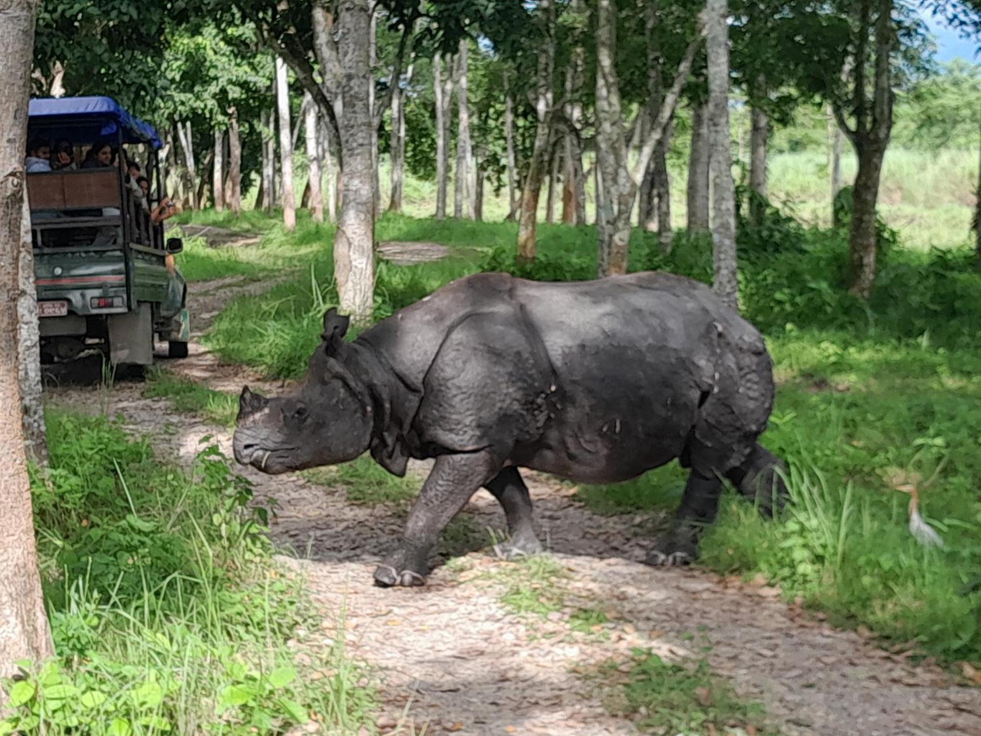 Crocodile Safari Camp Otel Chitwan Dış mekan fotoğraf
