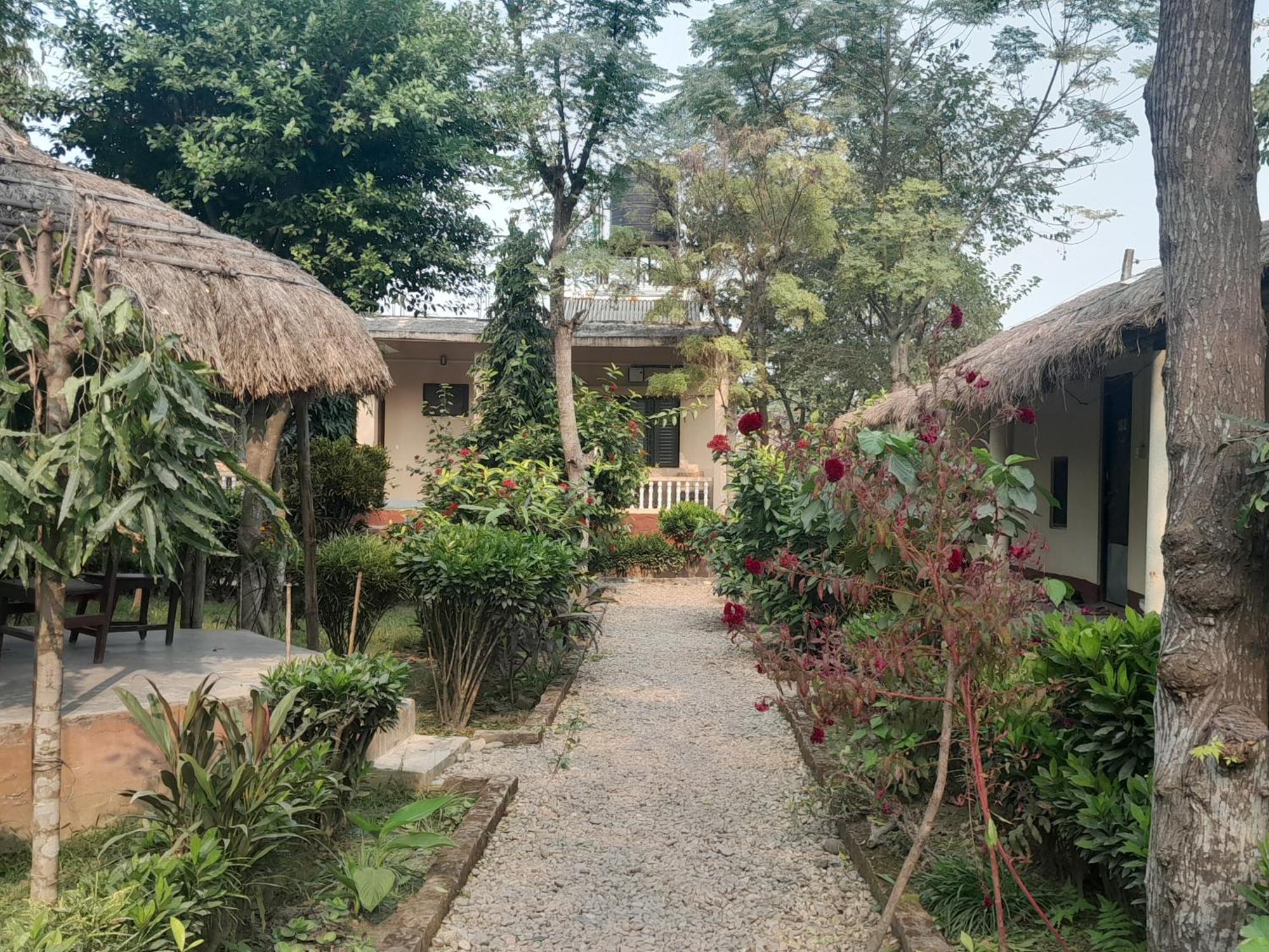 Crocodile Safari Camp Otel Chitwan Oda fotoğraf