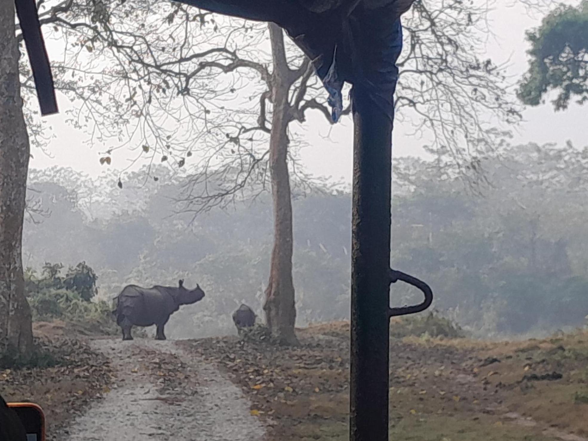 Crocodile Safari Camp Otel Chitwan Dış mekan fotoğraf