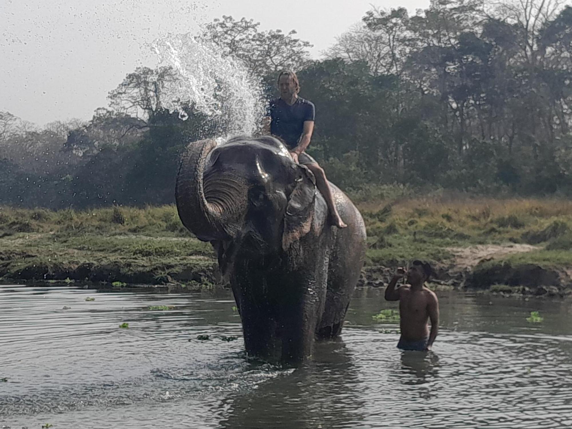 Crocodile Safari Camp Otel Chitwan Dış mekan fotoğraf