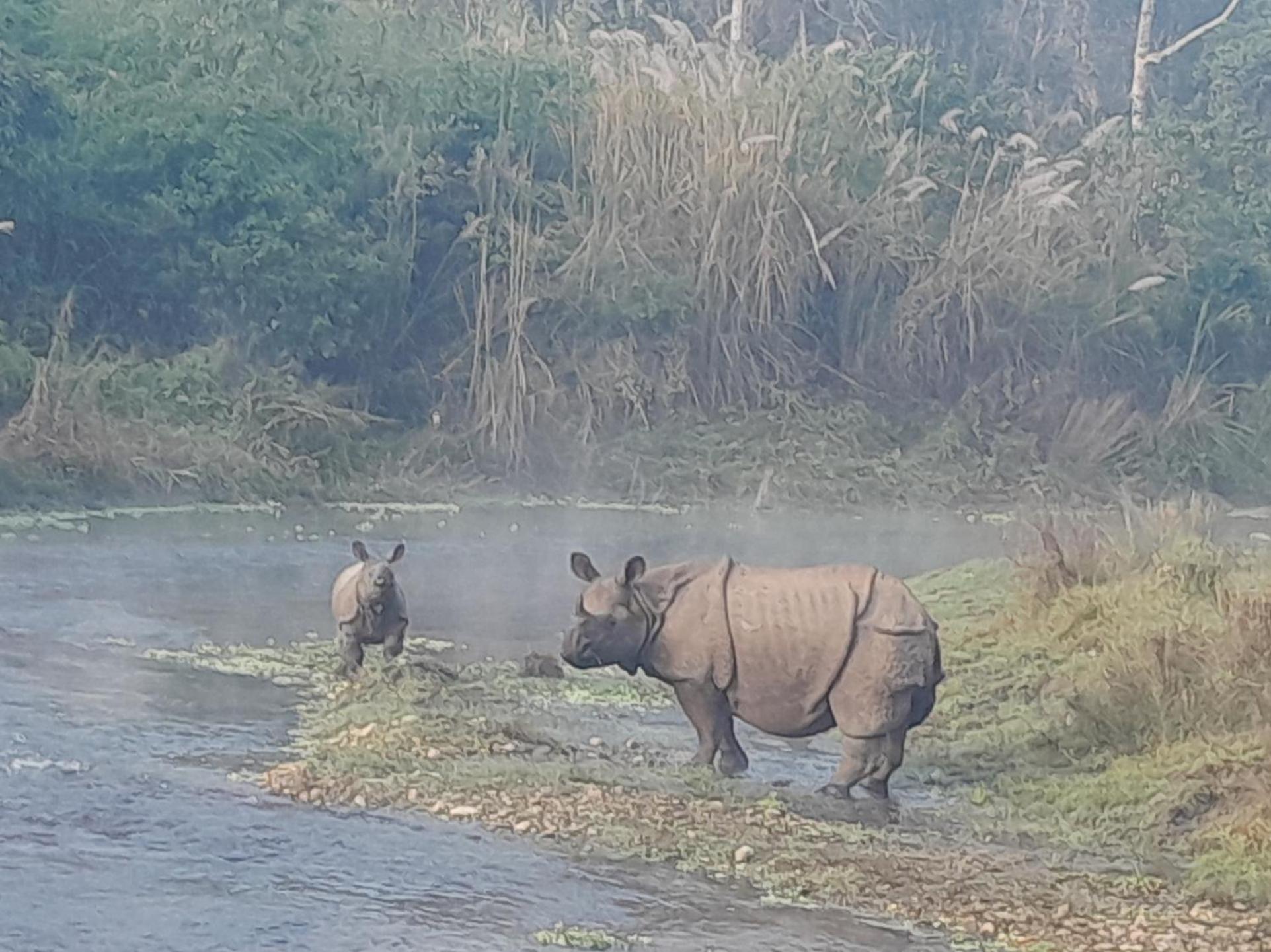 Crocodile Safari Camp Otel Chitwan Dış mekan fotoğraf