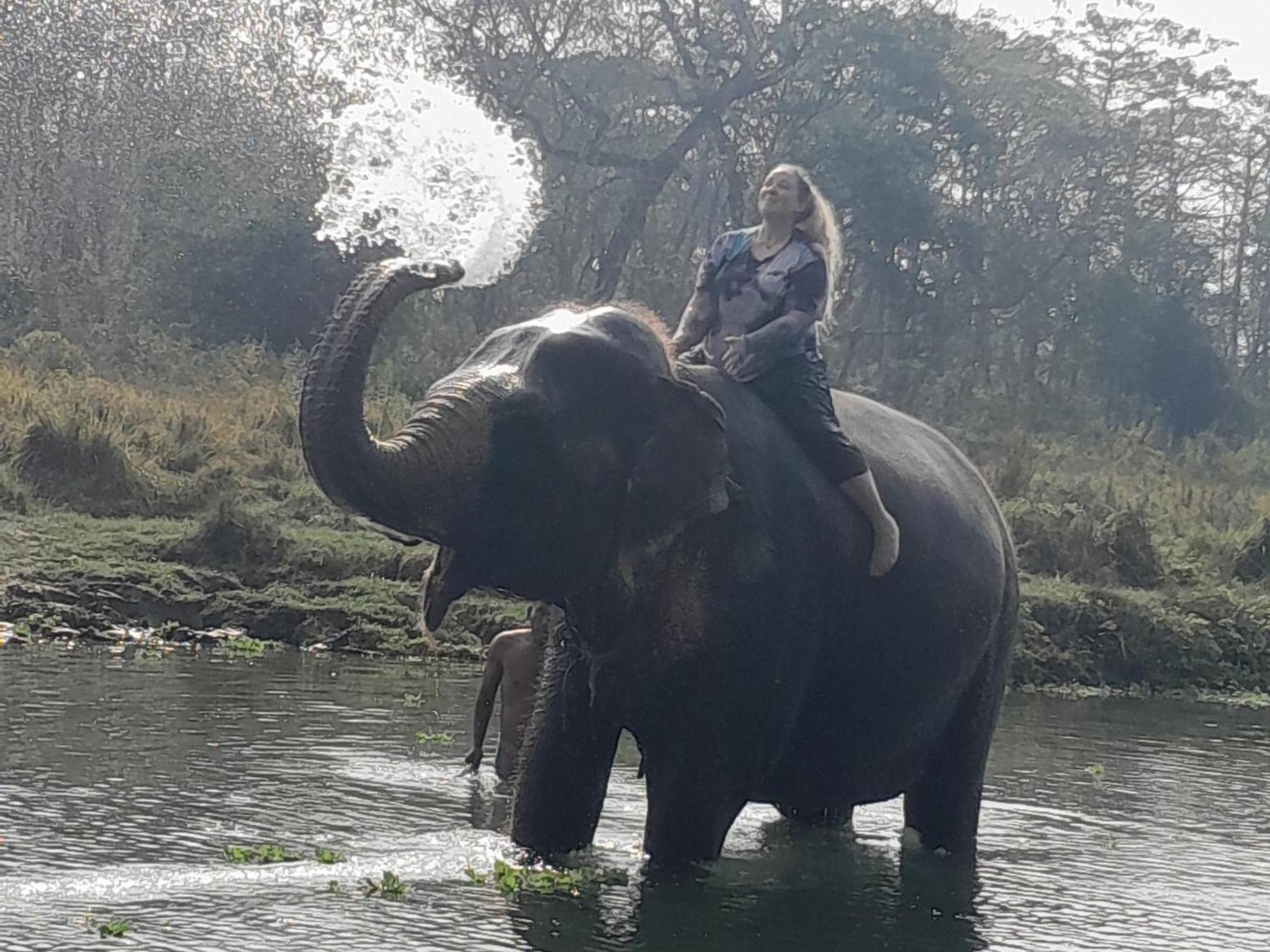 Crocodile Safari Camp Otel Chitwan Dış mekan fotoğraf