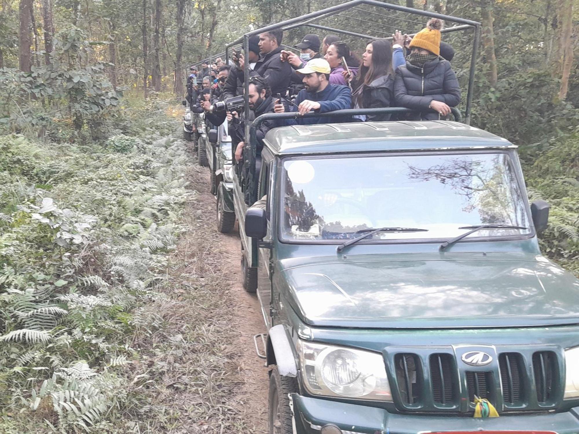 Crocodile Safari Camp Otel Chitwan Dış mekan fotoğraf